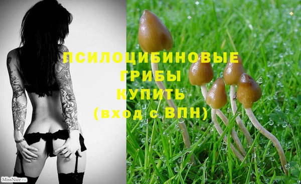 мдпв Болохово