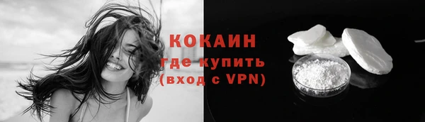 мдпв Болохово