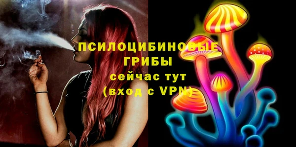 дживик Бикин