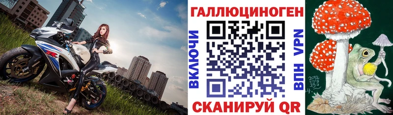 MEGA зеркало  Ветлуга  Галлюциногенные грибы Psilocybine cubensis 